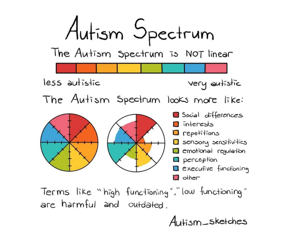 The Autism Spectrum is Not Linear, designed by Autism_Sketches on Instagram